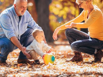 Licença-para-apoiar-os-netos-425x318